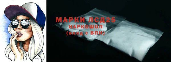 spice Карпинск