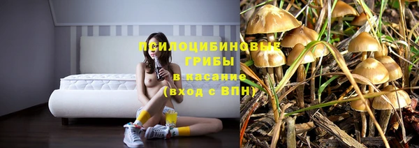 первитин Касимов