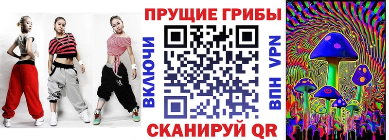 Галлюциногенные грибы Psilocybine cubensis Качканар